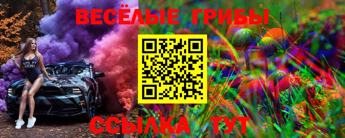 Псилоцибиновые грибы GOLDEN TEACHER Солнечногорск