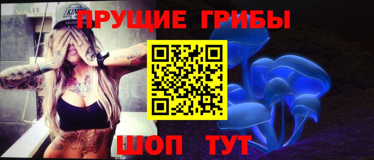 Солнечногорск  Псилоцибиновые грибы прущие грибы  что такое наркотик  Вход с VPN 